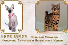 �������� �������� ����������� ����� � ��������� �������� Love Lucky