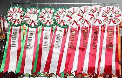 �������� ����� '�������&nbsp;���-�����' 31 ������� - 1 �������� 2013 �. ������������ ���_4214