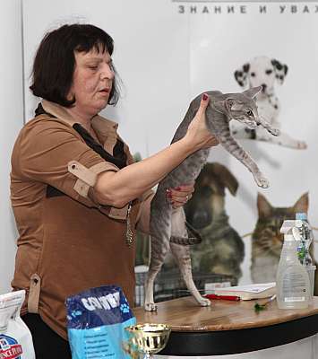 �������� ����� '�������&nbsp;���-�����' 31 ������� - 1 �������� 2013 �. ������������ ���_4232