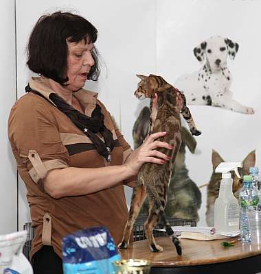 �������� ����� '�������&nbsp;���-�����' 31 ������� - 1 �������� 2013 �. ������������ ���_4235