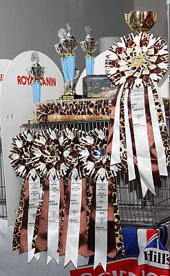 �������� ����� '�������&nbsp;���-�����' 31 ������� - 1 �������� 2013 �. ������������ ���_4249