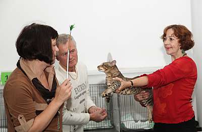 �������� ����� '�������&nbsp;���-�����' 31 ������� - 1 �������� 2013 �. ������������ ���_4314