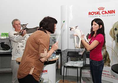 �������� ����� '�������&nbsp;���-�����' 31 ������� - 1 �������� 2013 �. ������������ ���_4323