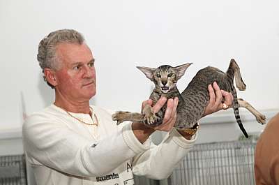 �������� ����� '�������&nbsp;���-�����' 31 ������� - 1 �������� 2013 �. ������������ ���_4324