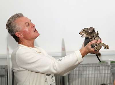 �������� ����� '�������&nbsp;���-�����' 31 ������� - 1 �������� 2013 �. ������������ ���_4325