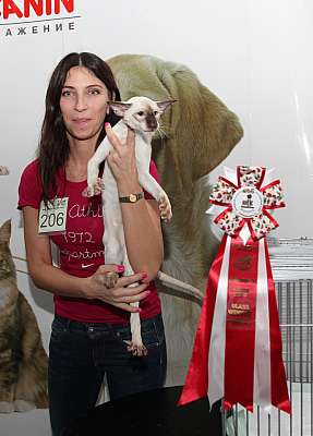 �������� ����� '�������&nbsp;���-�����' 31 ������� - 1 �������� 2013 �. ������������ ���_4328