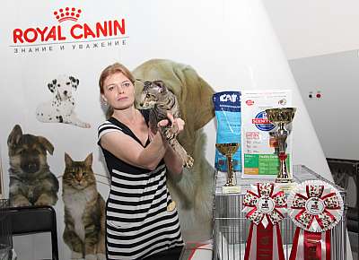 �������� ����� '�������&nbsp;���-�����' 31 ������� - 1 �������� 2013 �. ������������ ���_4337