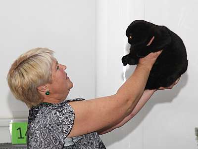 �������� ����� '�������&nbsp;���-�����' 31 ������� - 1 �������� 2013 �. ������������ ���_4650