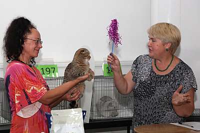 �������� ����� '�������&nbsp;���-�����' 31 ������� - 1 �������� 2013 �. ������������ ���_4655