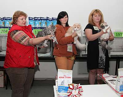 �������� ����� '�������&nbsp;���-�����' 31 ������� - 1 �������� 2013 �. ������������ ���_4663