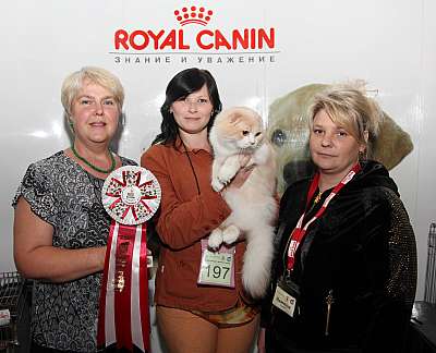 �������� ����� '�������&nbsp;���-�����' 31 ������� - 1 �������� 2013 �. ������������ ���_4666