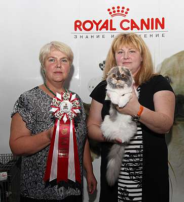 �������� ����� '�������&nbsp;���-�����' 31 ������� - 1 �������� 2013 �. ������������ ���_4678