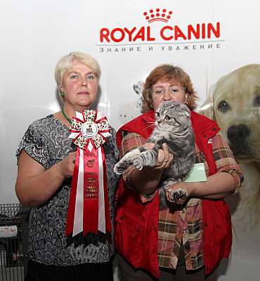 �������� ����� '�������&nbsp;���-�����' 31 ������� - 1 �������� 2013 �. ������������ ���_4686