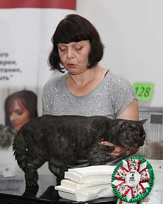 �������� ����� '�������&nbsp;���-�����' 31 ������� - 1 �������� 2013 �. ������������ ���_5520