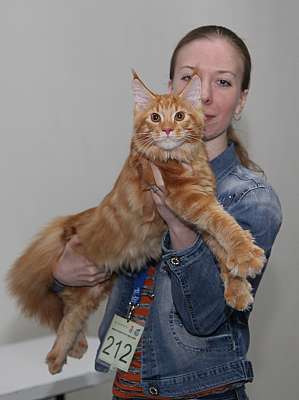 �������� ����� '�������&nbsp;���-�����' 31 ������� - 1 �������� 2013 �. ������������ ���_5527