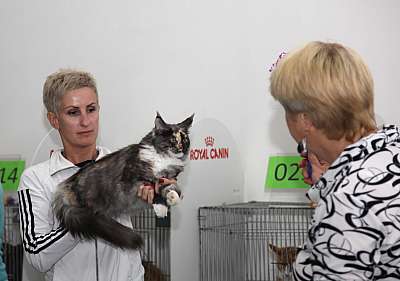 �������� ����� '�������&nbsp;���-�����' 31 ������� - 1 �������� 2013 �. ������������ ���_5533