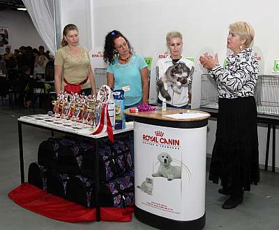 �������� ����� '�������&nbsp;���-�����' 31 ������� - 1 �������� 2013 �. ������������ ���_5535