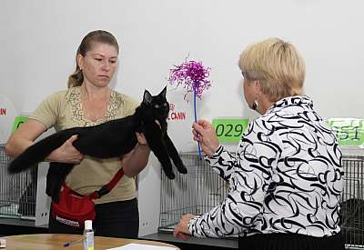 �������� ����� '�������&nbsp;���-�����' 31 ������� - 1 �������� 2013 �. ������������ ���_5536