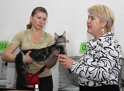 �������� ����� '�������&nbsp;���-�����' 31 ������� - 1 �������� 2013 �. ������������ ���_5542