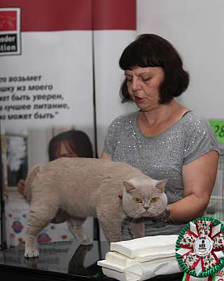 �������� ����� '�������&nbsp;���-�����' 31 ������� - 1 �������� 2013 �. ������������ ���_5552