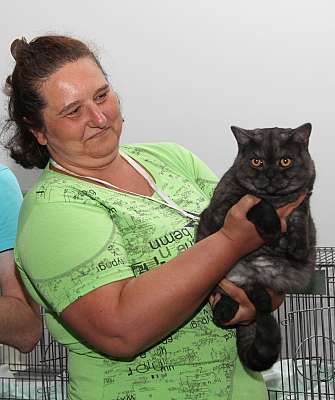 �������� ����� '�������&nbsp;���-�����' 31 ������� - 1 �������� 2013 �. ������������ ���_5558