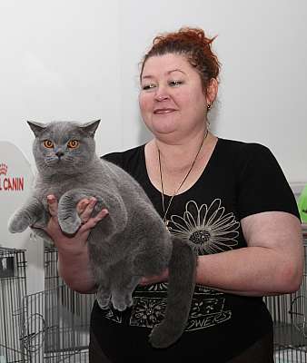 �������� ����� '�������&nbsp;���-�����' 31 ������� - 1 �������� 2013 �. ������������ ���_5562