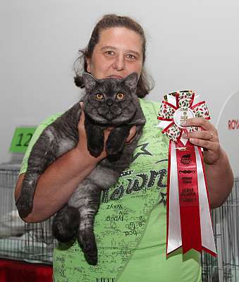 �������� ����� '�������&nbsp;���-�����' 31 ������� - 1 �������� 2013 �. ������������ ���_5572