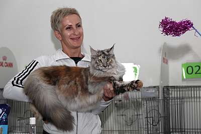 �������� ����� '�������&nbsp;���-�����' 31 ������� - 1 �������� 2013 �. ������������ ���_5590