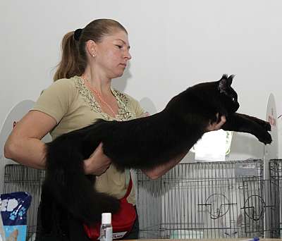 �������� ����� '�������&nbsp;���-�����' 31 ������� - 1 �������� 2013 �. ������������ ���_5596