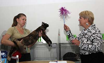 �������� ����� '�������&nbsp;���-�����' 31 ������� - 1 �������� 2013 �. ������������ ���_5614