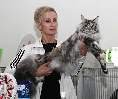 �������� ����� '�������&nbsp;���-�����' 31 ������� - 1 �������� 2013 �. ������������ ���_5616