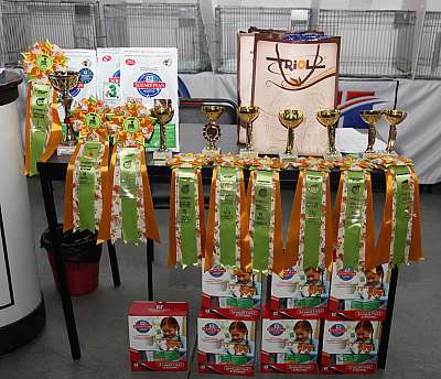 �������� ����� '�������&nbsp;���-�����' 31 ������� - 1 �������� 2013 �. ������������ ���_5644