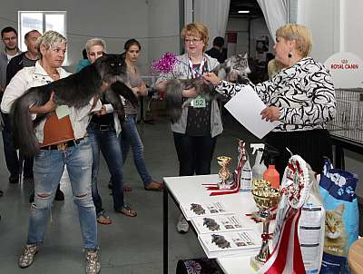 �������� ����� '�������&nbsp;���-�����' 31 ������� - 1 �������� 2013 �. ������������ ���_5651