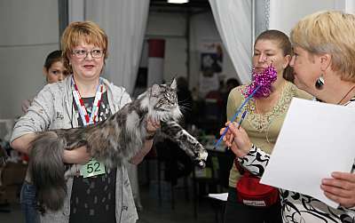 �������� ����� '�������&nbsp;���-�����' 31 ������� - 1 �������� 2013 �. ������������ ���_5654