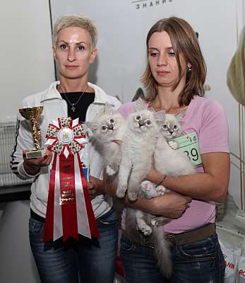 �������� ����� '�������&nbsp;���-�����' 31 ������� - 1 �������� 2013 �. ������������ ���_5886