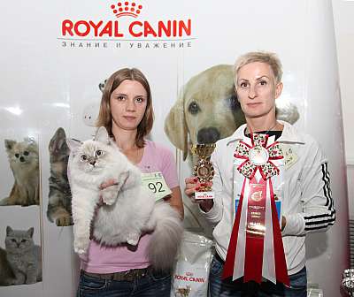 �������� ����� '�������&nbsp;���-�����' 31 ������� - 1 �������� 2013 �. ������������ ���_5898