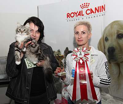 �������� ����� '�������&nbsp;���-�����' 31 ������� - 1 �������� 2013 �. ������������ ���_5902