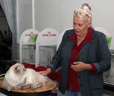 �������� ����� '�������&nbsp;���-�����' 31 ������� - 1 �������� 2013 �. ������������ ���_5914