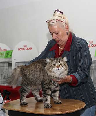 �������� ����� '�������&nbsp;���-�����' 31 ������� - 1 �������� 2013 �. ������������ ���_5922