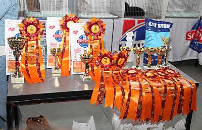 �������� ����� '�������&nbsp;���-�����' 31 ������� - 1 �������� 2013 �. WCF-�����_4479