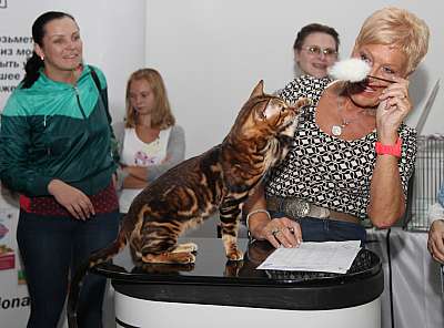 �������� ����� '�������&nbsp;���-�����' 31 ������� - 1 �������� 2013 �. WCF-�����_4487