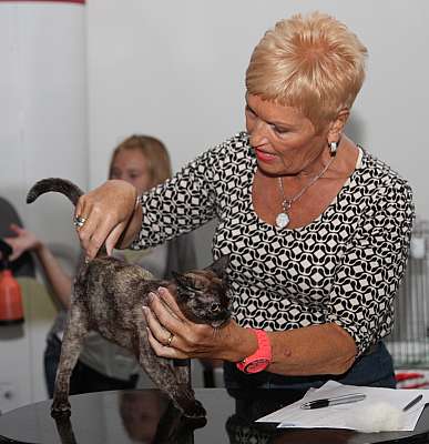 �������� ����� '�������&nbsp;���-�����' 31 ������� - 1 �������� 2013 �. WCF-�����_4493