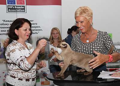 �������� ����� '�������&nbsp;���-�����' 31 ������� - 1 �������� 2013 �. WCF-�����_4516