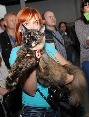 �������� ����� '�������&nbsp;���-�����' 31 ������� - 1 �������� 2013 �. WCF-�����_4521