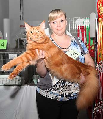 �������� ����� '�������&nbsp;���-�����' 31 ������� - 1 �������� 2013 �. WCF-�����_4527