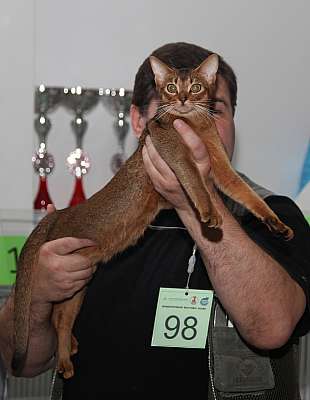 �������� ����� '�������&nbsp;���-�����' 31 ������� - 1 �������� 2013 �. WCF-�����_4543