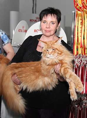 �������� ����� '�������&nbsp;���-�����' 31 ������� - 1 �������� 2013 �. WCF-�����_4549