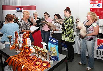 �������� ����� '�������&nbsp;���-�����' 31 ������� - 1 �������� 2013 �. WCF-�����_4553