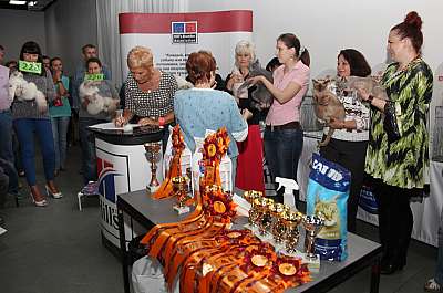 �������� ����� '�������&nbsp;���-�����' 31 ������� - 1 �������� 2013 �. WCF-�����_4555