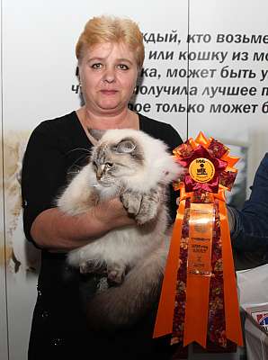 �������� ����� '�������&nbsp;���-�����' 31 ������� - 1 �������� 2013 �. WCF-�����_4564